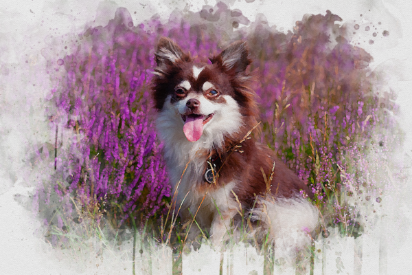 Poster Watercolor Effect